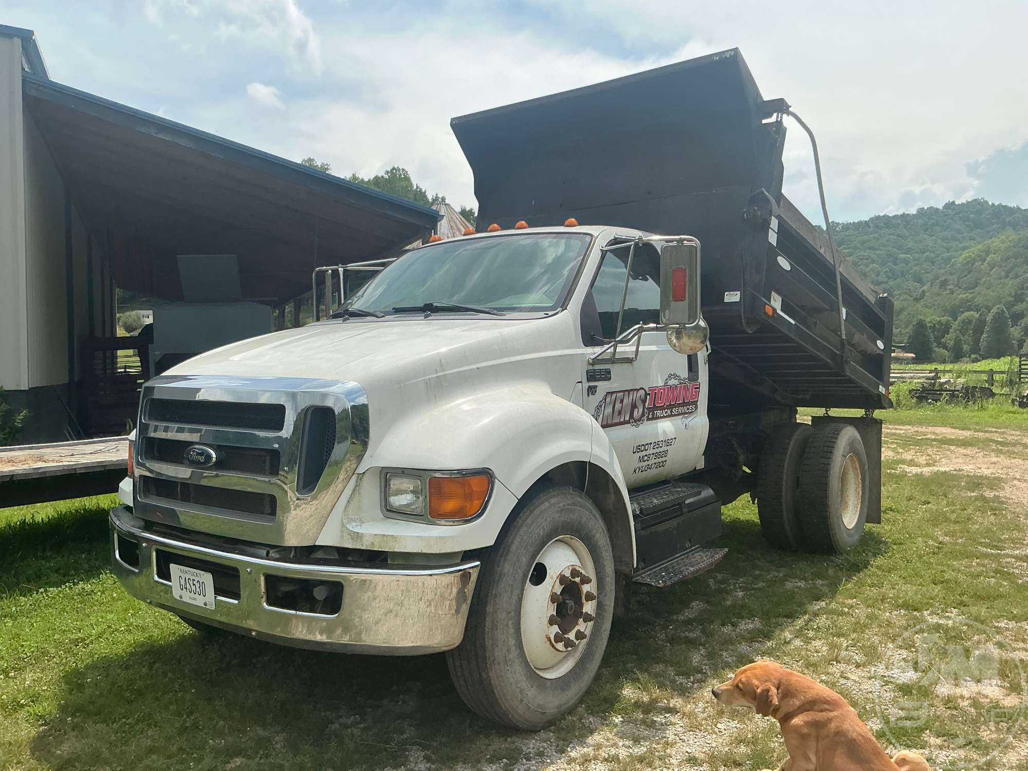 2015 Ford F-650