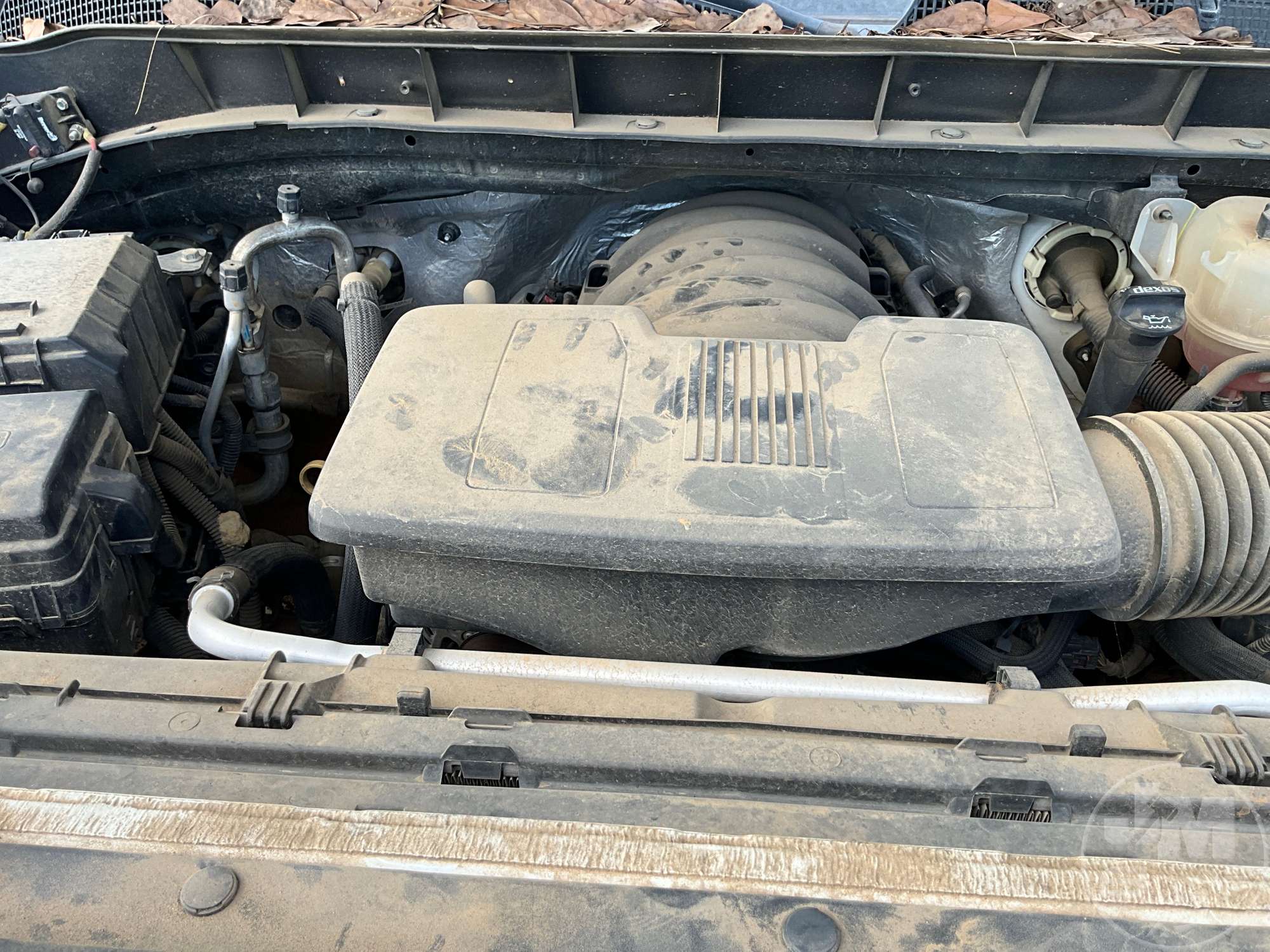 2019 Chevrolet SILVERADO