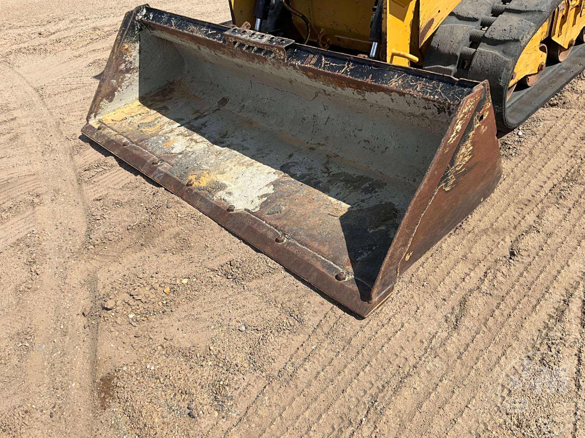 2023 Caterpillar 259D3