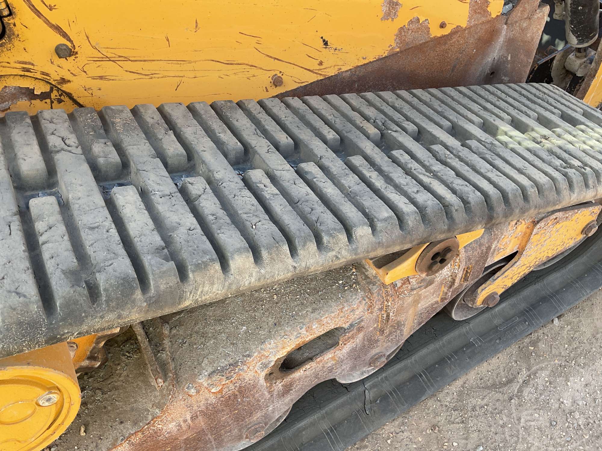 2019 Caterpillar 259D