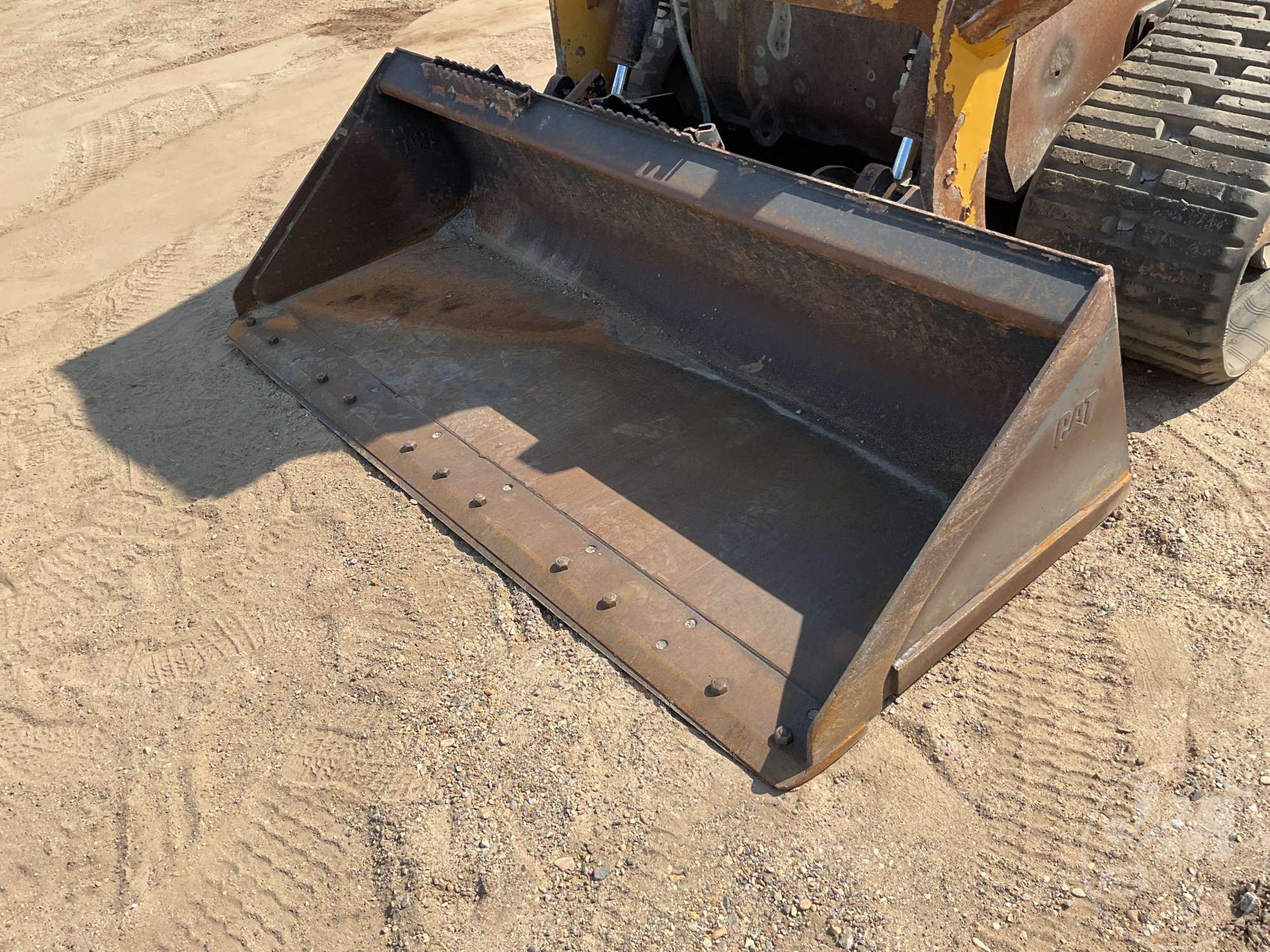 2019 Caterpillar 259D