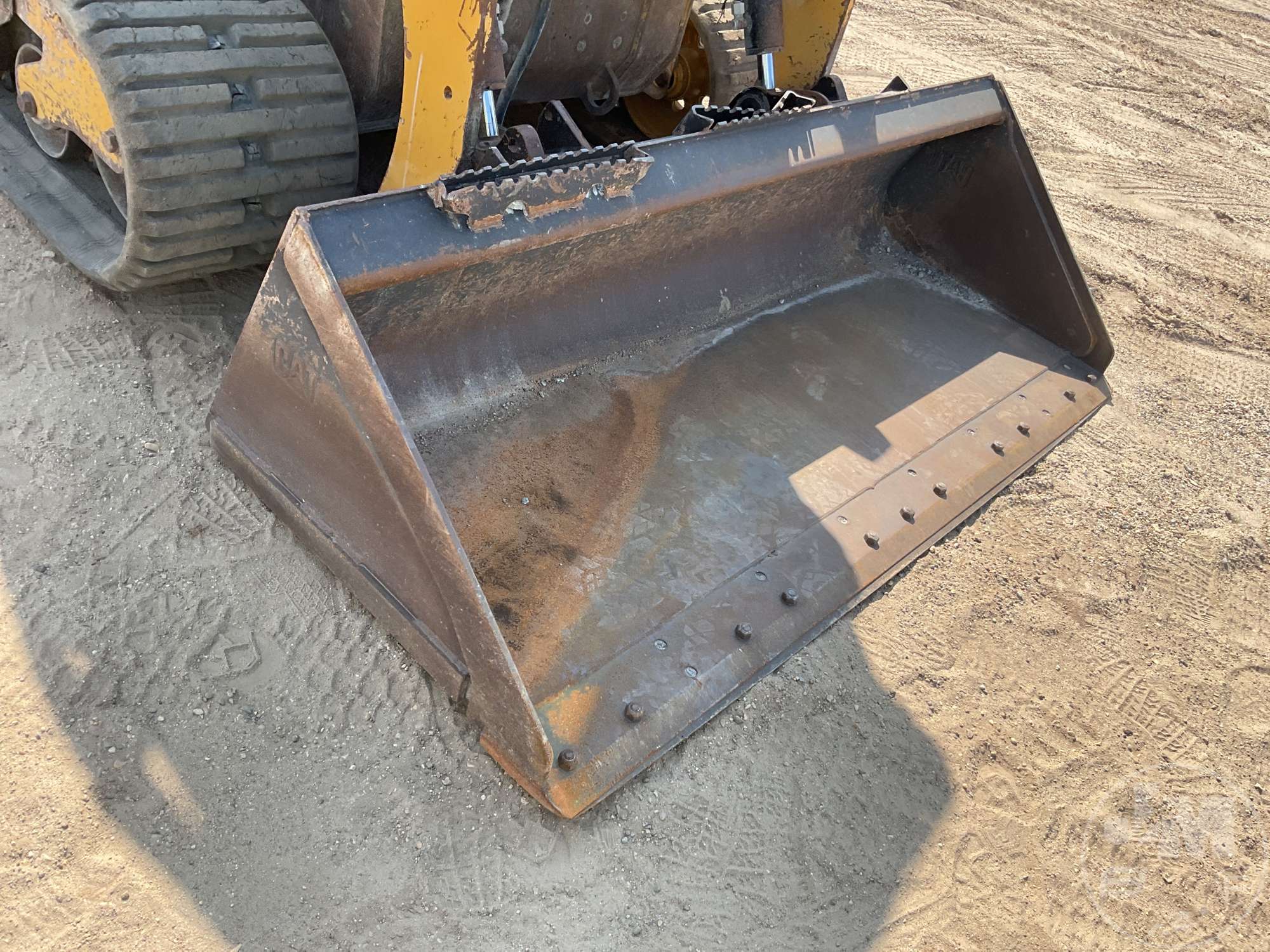 2019 Caterpillar 259D
