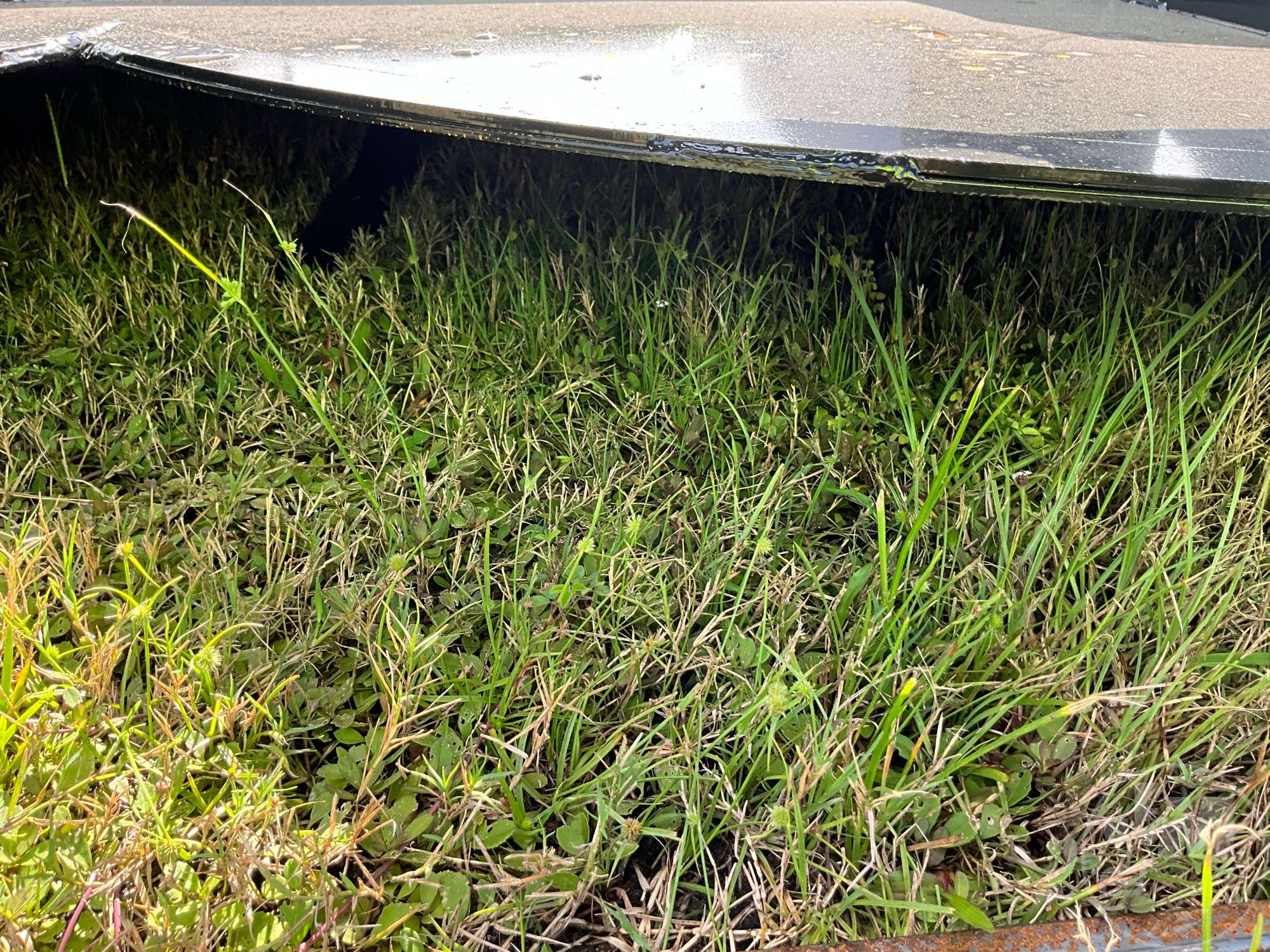 2026 Mower King SSRC