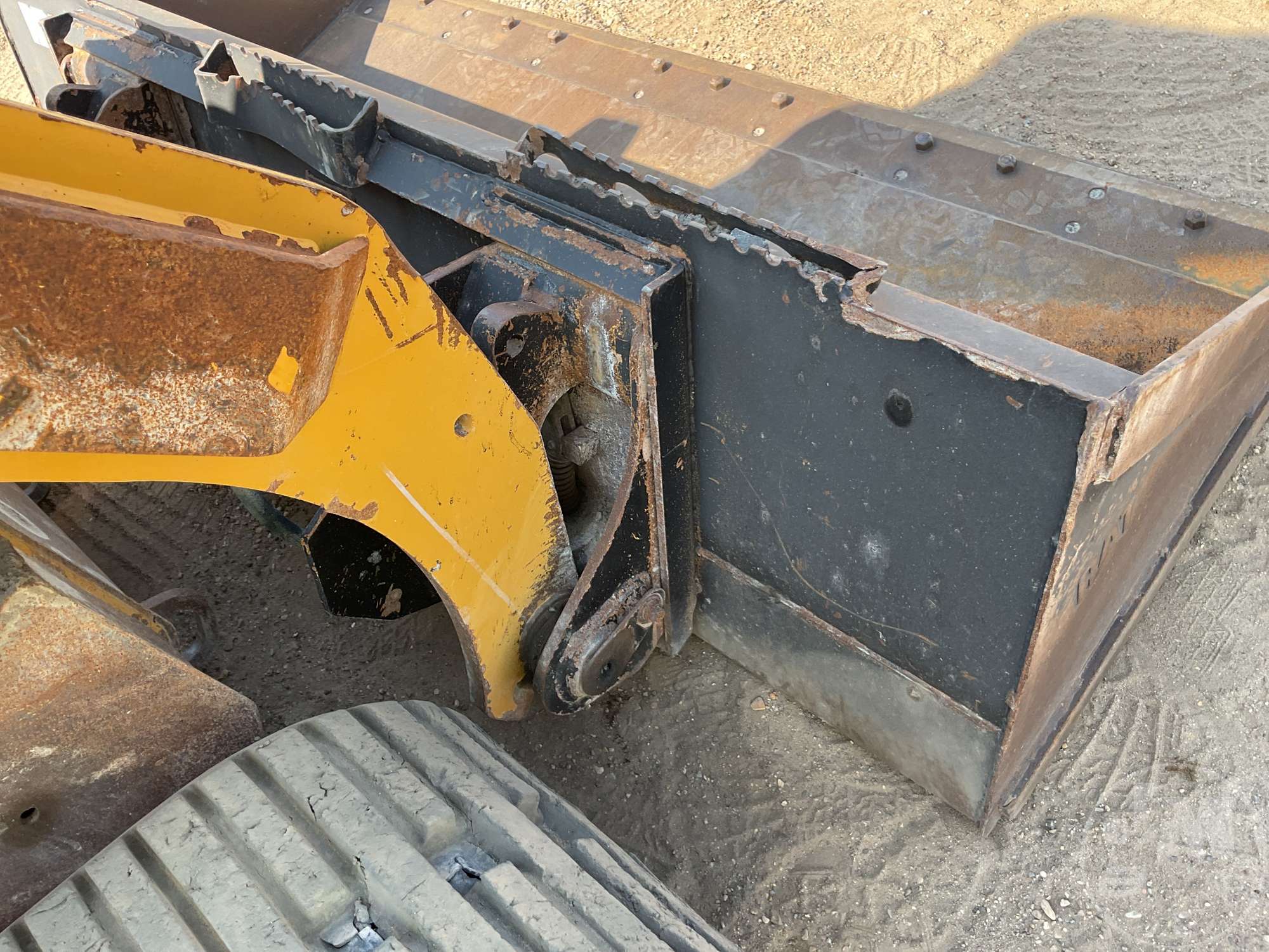 2019 Caterpillar 259D