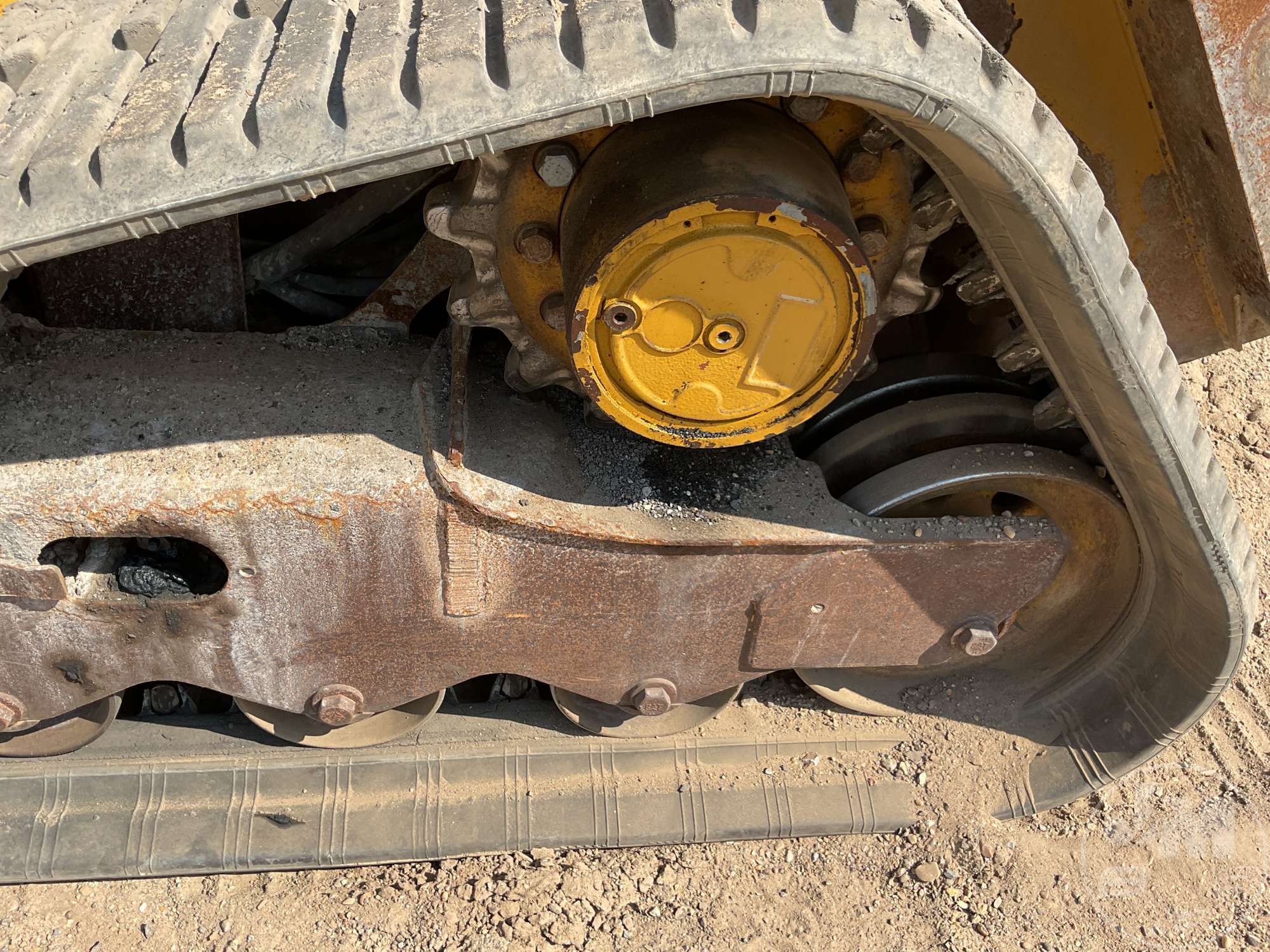 2019 Caterpillar 259D